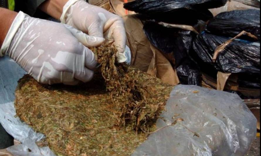 Brigada Antinarcóticos detuvo a sujeto que pretendía ingresar marihuana "cripy" a la región