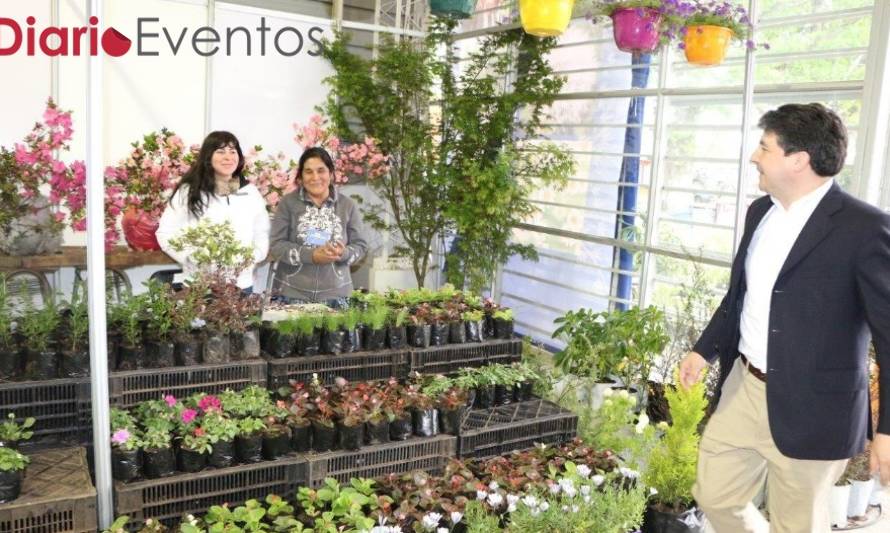 Este viernes la Expo Primavera regresa al Parque Saval