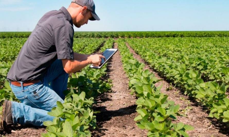 Abiertas las inscripciones para curso de agricultura urbana para alimentación saludable y sustentable