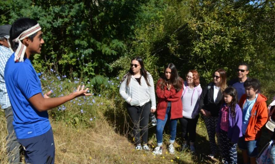 Tours fluviales por el Río Cruces: Nace un nuevo destino turístico de la Región de los Ríos