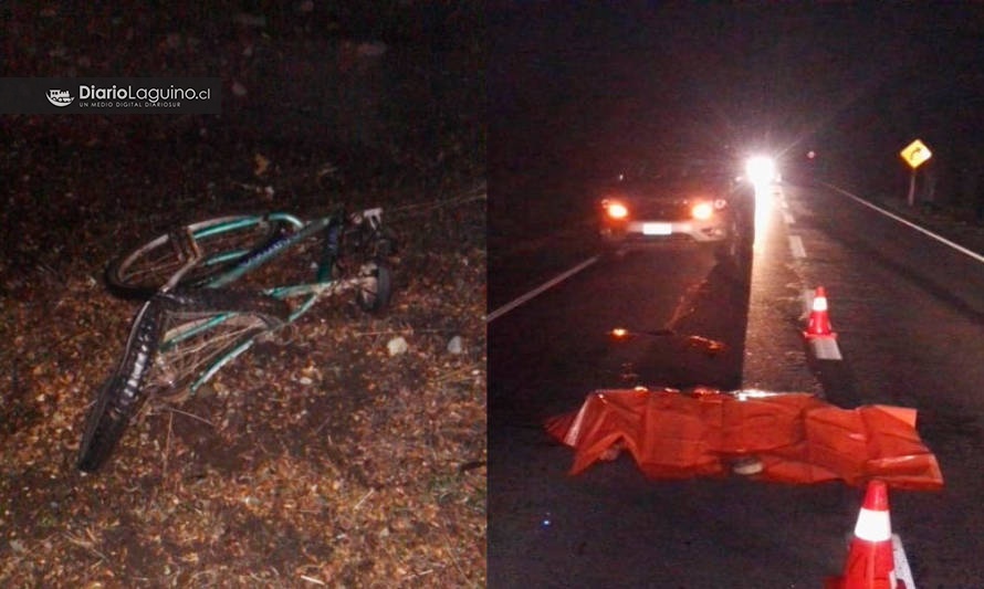 Laguino que se transportaba en bicicleta murió atropellado esta noche