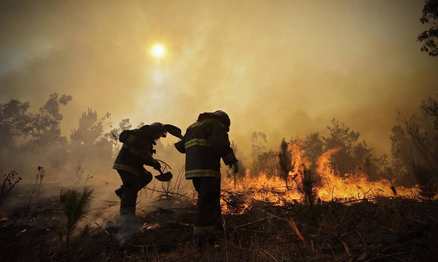 Berger (RN) presentó proyecto que busca aumentar las penas a delitos de incendios 