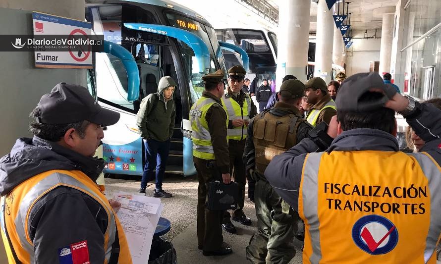 Detienen a conductor bajo influencia del alcohol en terminal de buses de Valdivia