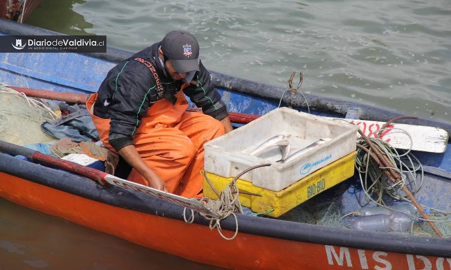 Lanzan programa para impulsar pesca artesanal sustentable y asegurar salud de los océanos