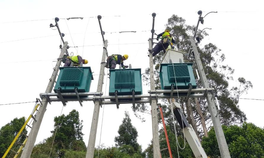 Riesgo de árbol en la línea eléctrica obligará a corte forzoso en Corral