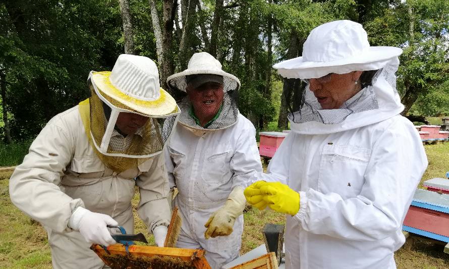 Más de cuatro mil doscientos sesenta millones invirtió Fomento Los Ríos durante el 2019