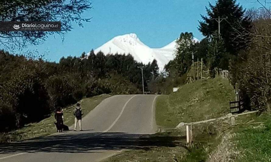 Seremi de Bienes Nacionales pidió denunciar a "turistas de cuarentena" en retén de Riñihue