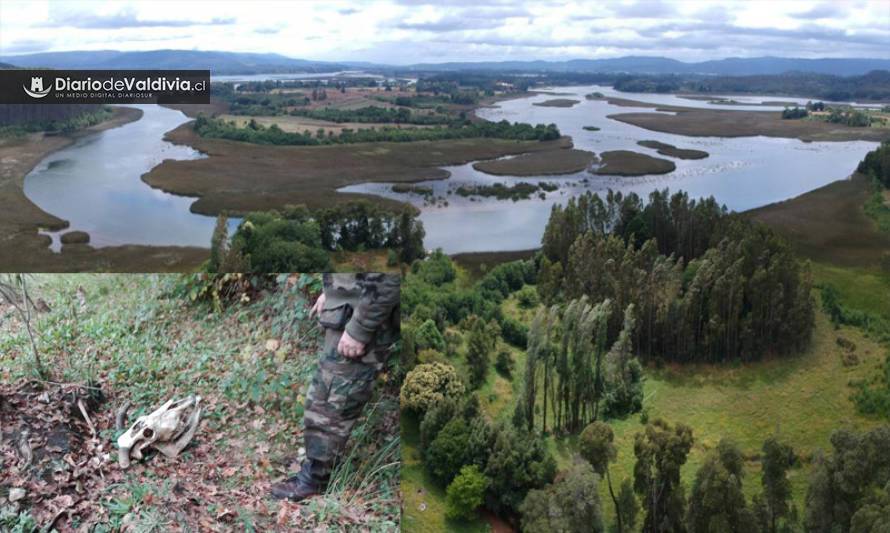 Denuncian presencia de banda delictual que se desplaza por ríos de Valdivia