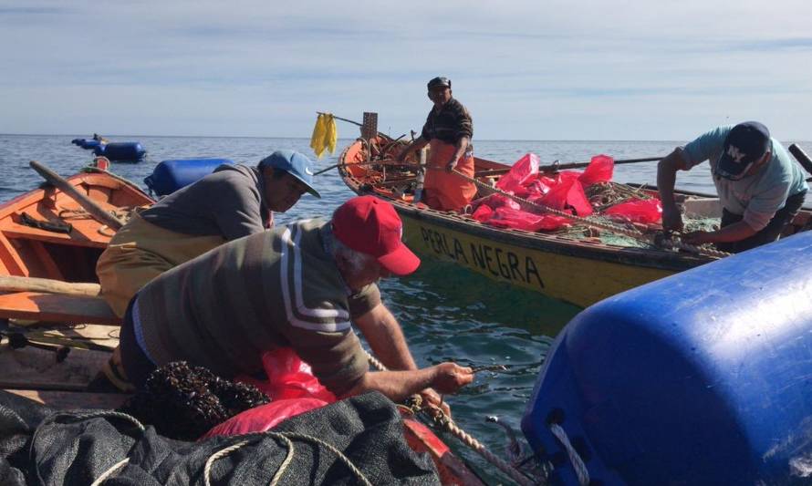 Comisión de Pesca respaldó cambios a la legislación para enfrentar efectos de la pandemia