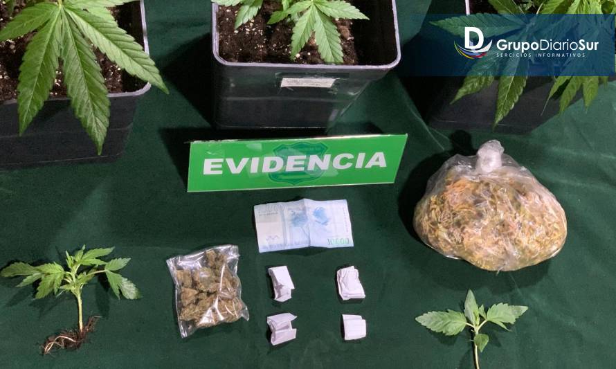 Paillaco: Carabineros detuvo a hombre que vendía marihuana en plena vía pública