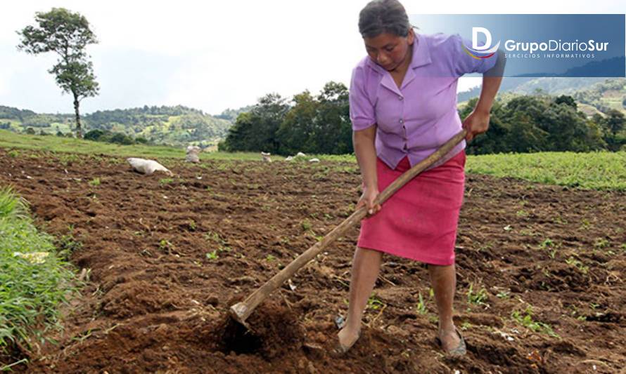 Destacan desafíos de mujeres rurales en contexto regional