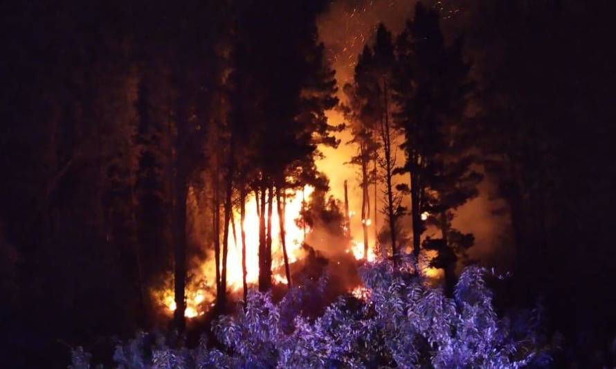 Incendio de pastizales moviliza a bomberos de Los Lagos 