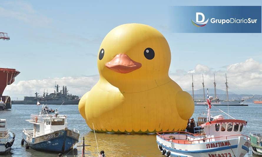 Pato de hule gigante se avecina sobre Valdivia