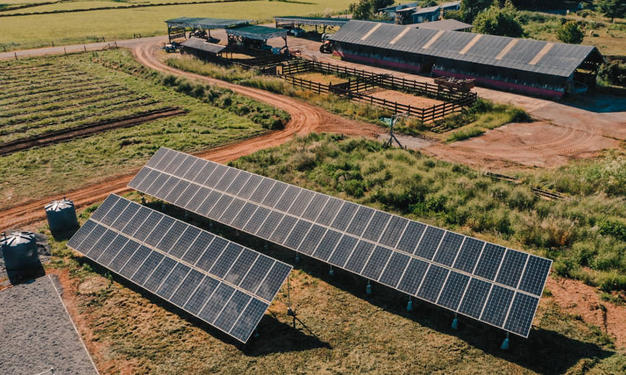 Dan el vamos a moderna planta solar en La Unión