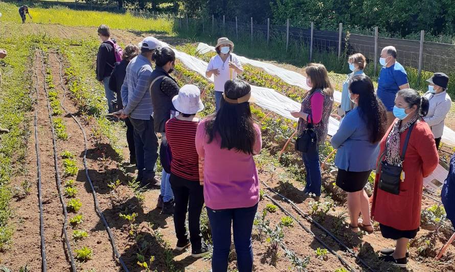 Cerca del 60% de los productores mejoró su rentabilidad gracias a Programa FNDR de producción agroecológica y orgánica de hortalizas