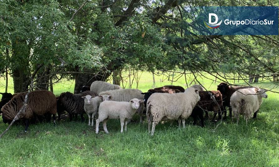 Agricultores se reunieron en Los Lagos para consensuar propuesta para el presidente electo Boric 