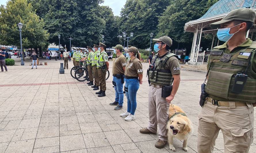 Ronda masiva de Carabineros dejó 22 detenidos en Los Ríos