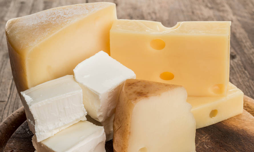 Elaboración láctea a noviembre de 2021 muestra un alza en la producción de queso y una caída en leche condensada