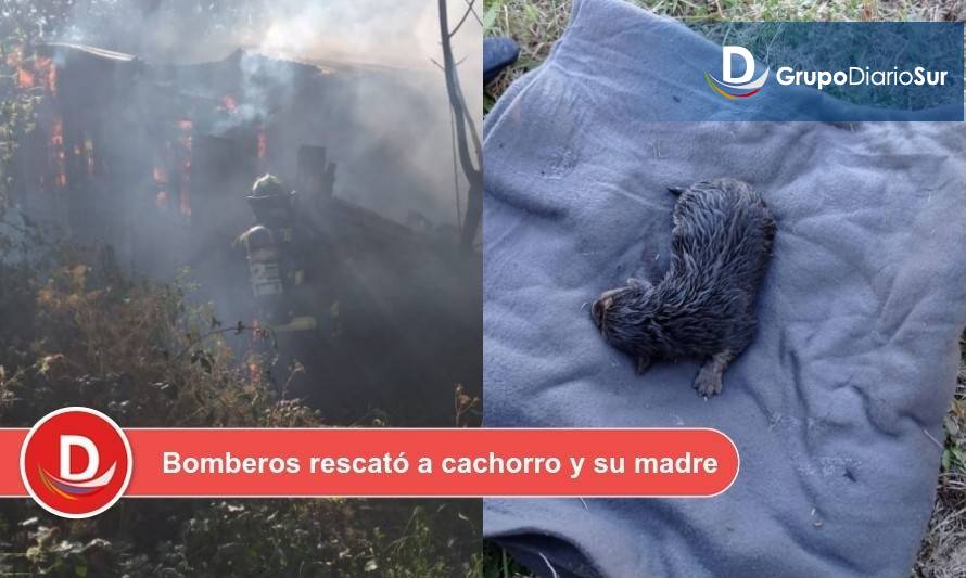 Humilde vivienda fue consumida por incendio en fundo de Los Lagos