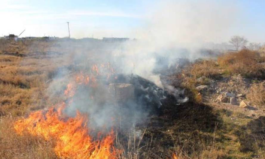 Valdivia: se reporta fuego en pastizales de la costa