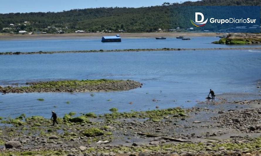 ¡Participa! Primera consulta ciudadana sobre la salud del océano en Chile
