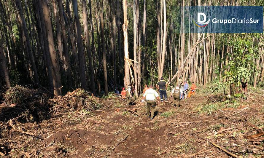 Ocurrió al interior de predio en sector Mirador Riñihue. Crédito foto: Diario Laguino.