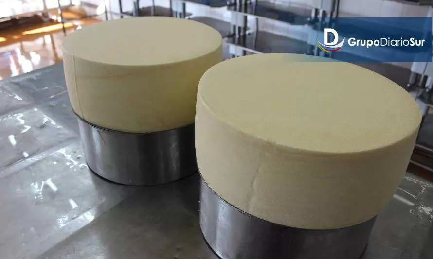 Productores de Los Ríos aprendieron sobre innovación, comercialización y elaboración de queso Gruyere 