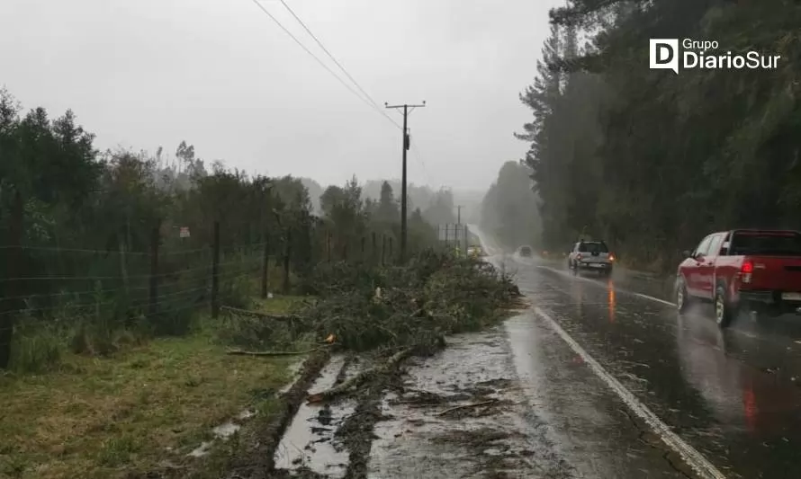 Onemi Los Ríos entregó reporte tras temporales de vientos y lluvia