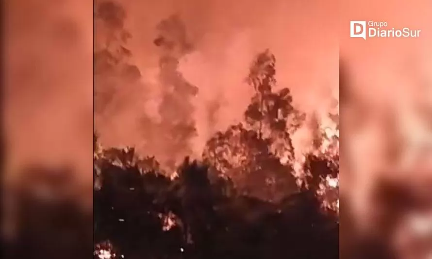 Incendio forestal en Corral ya se encuentra bajo control