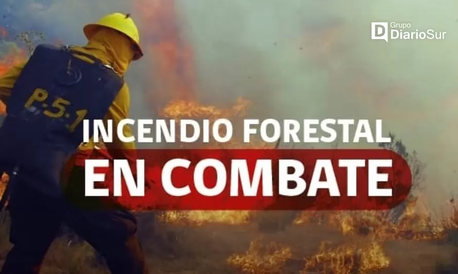 Actualizan Alerta Amarilla para la comuna de Corral por incendio forestal