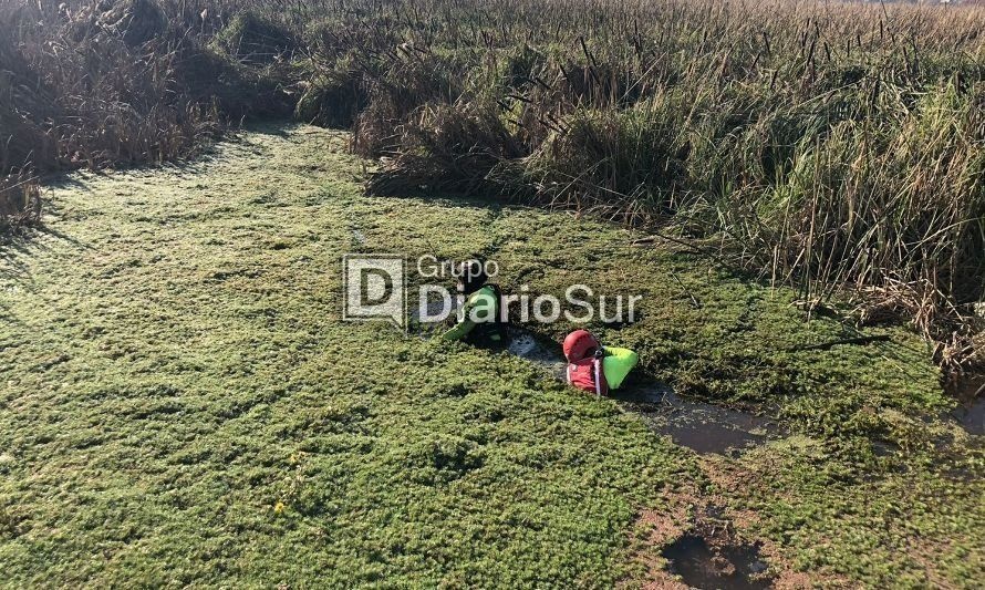 PDI realiza diligencias para recuperar arma con la que hirieron a niña en Valdivia