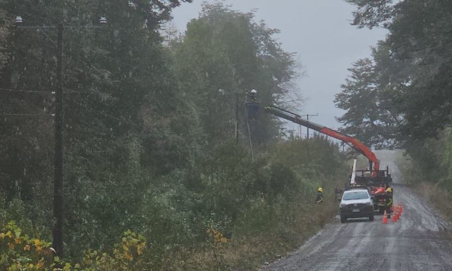 Intenso trabajo para restablecer suministro eléctrico afectado por temporal en Los Ríos