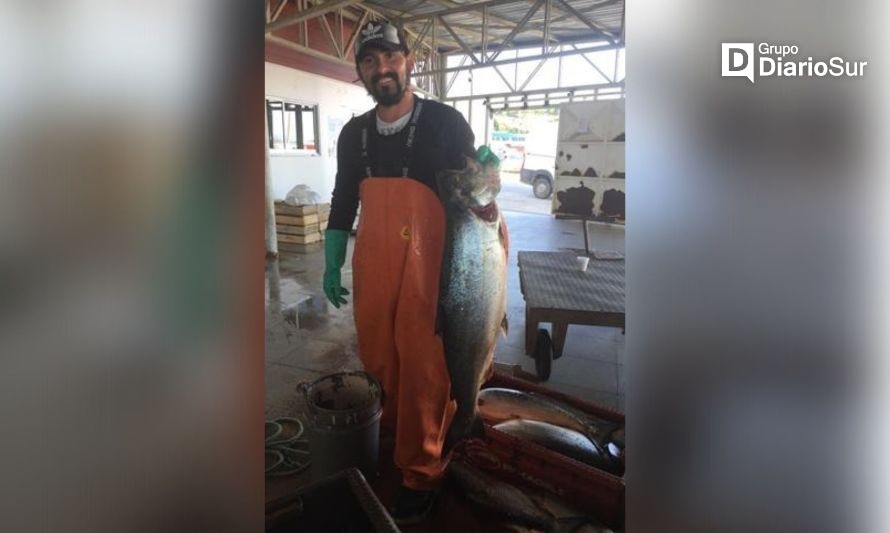 Federación de pescadores de Valdivia llama a la tranquilidad por la extracción de salmón en el mar