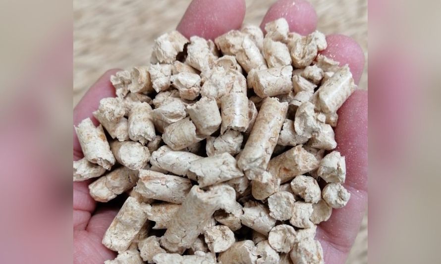 Energía descarta quiebre de stock de pellet y destaca alza en producción
 