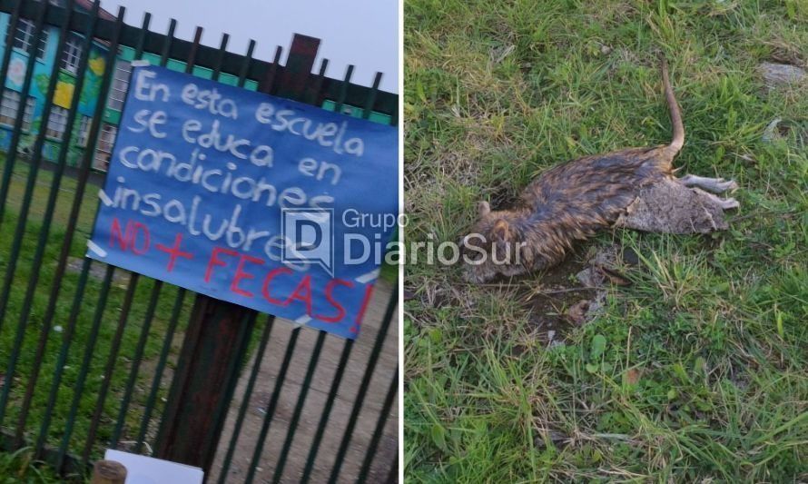 Apoderados protestan por insalubridad en Escuela Francia de Valdivia