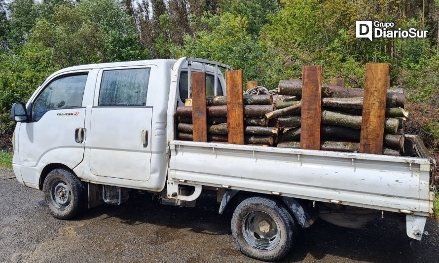 Detienen a trío cuando sustraía madera desde un predio forestal en Máfil