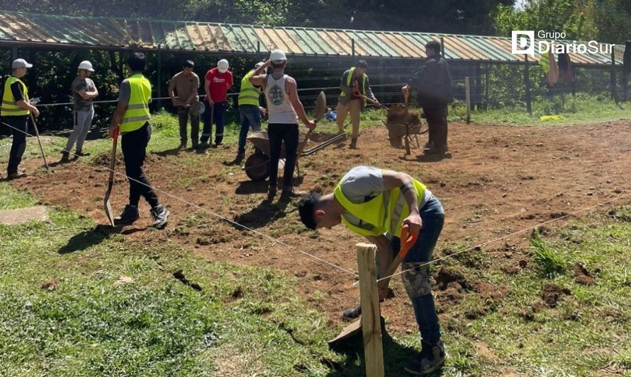 Crean invernadero educativo y comunitario en escuela de Valdivia