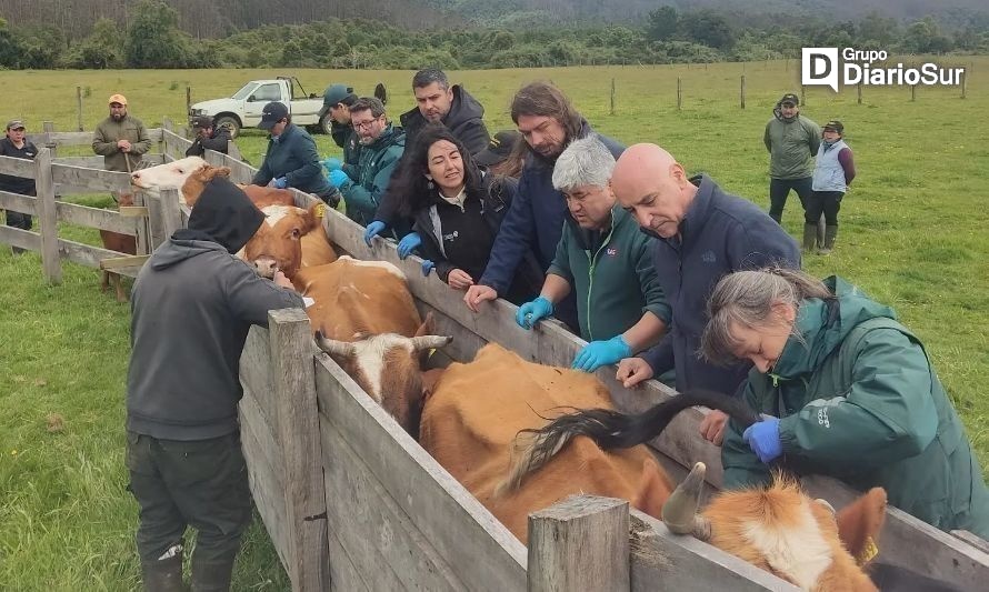 Operativo veterinario da la partida a convenio de servicios del Agro y TNC en Corral