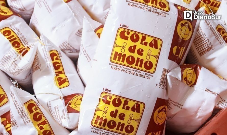 Para estas festividades no puede faltar el “cola de mono” elaborado en la UACh