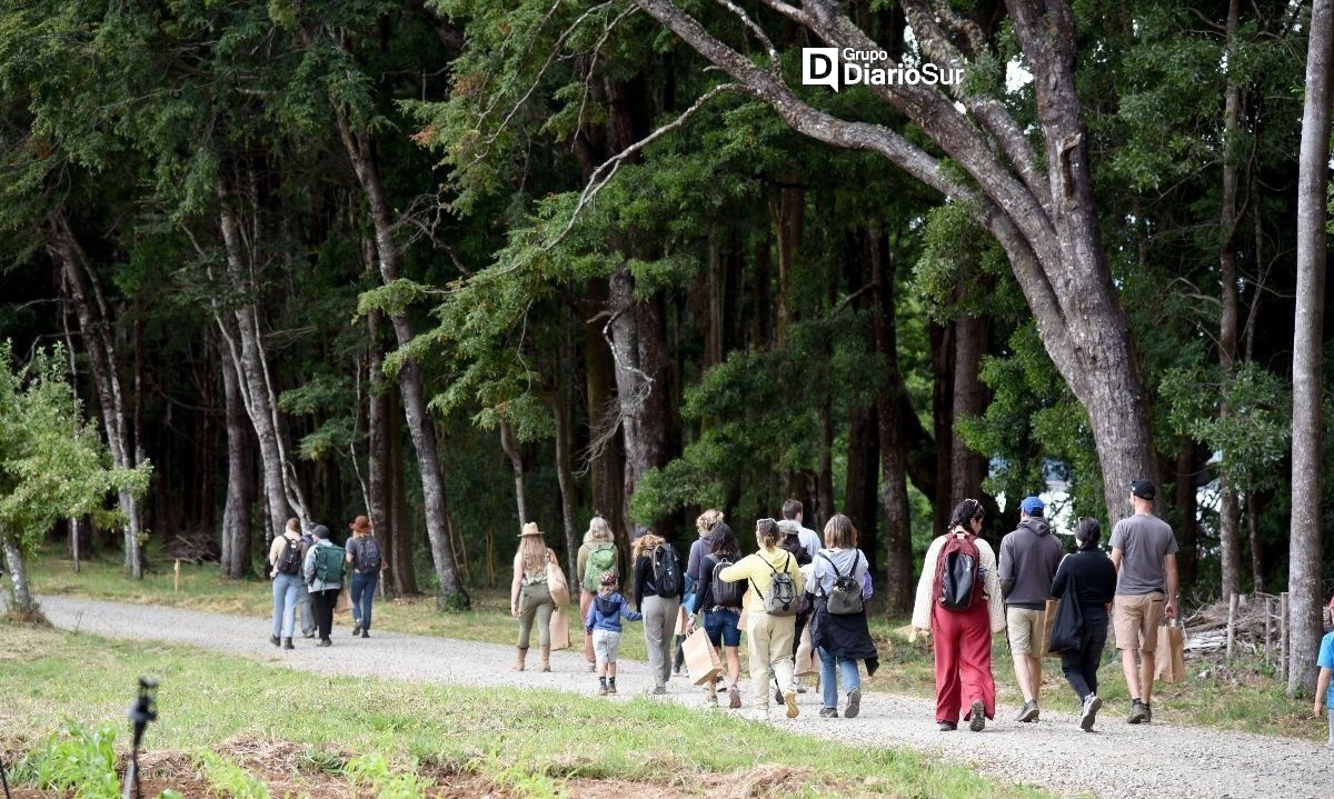 Valdivia: Isla San Francisco invita a su agenda cultural de verano