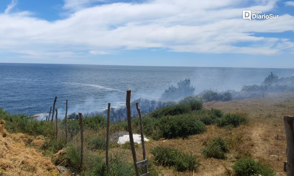 Reportan principio de incendio en sector costero de Corral