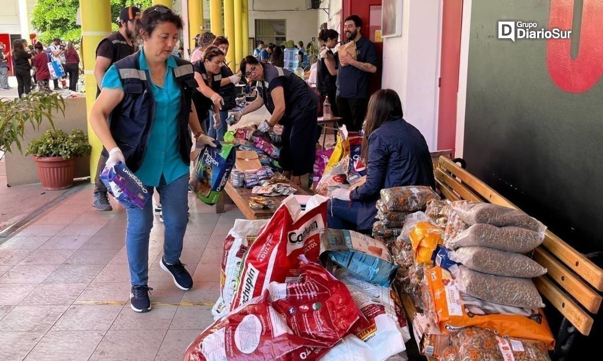 De sur a centro: Región de Los Ríos se une para ayudar a damnificados por incendios en Viña del Mar