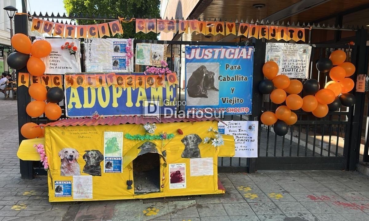 Imputados por muerte de perros comunitarios quedaron con medidas cautelares