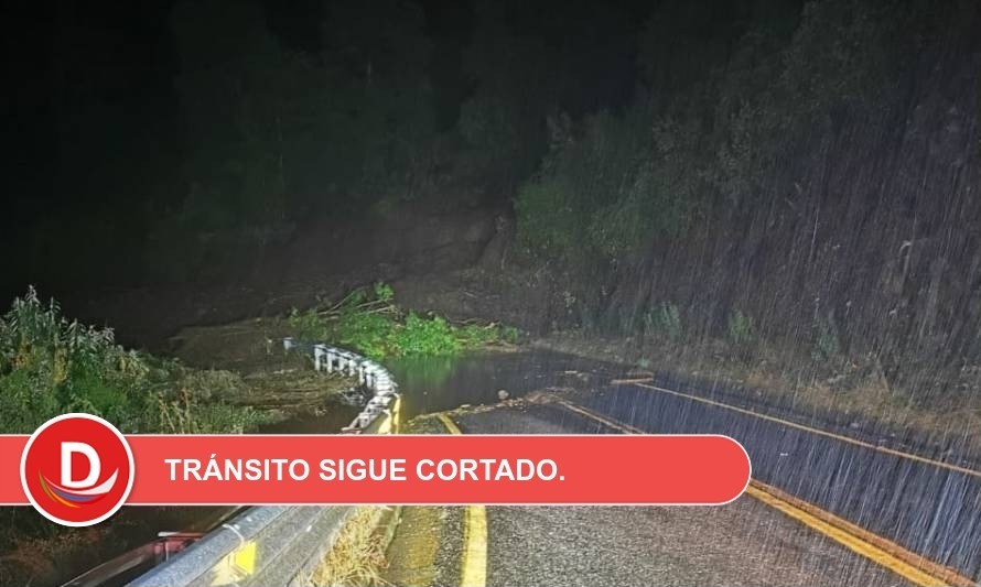 Veinte personas fueron evacuadas tras derrumbe en Panguipulli