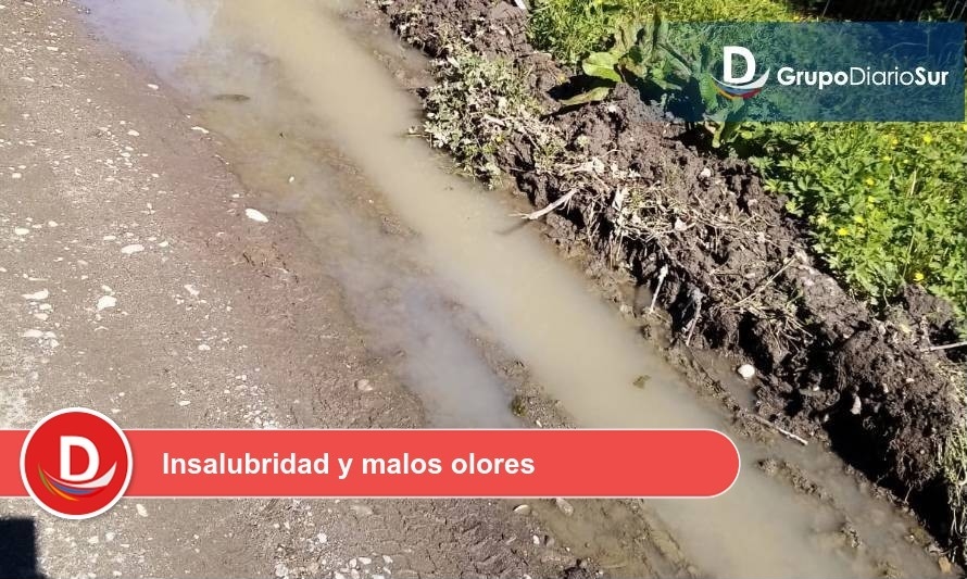 Vecinos de Los Lagos denuncian rebalse de pozo séptico 