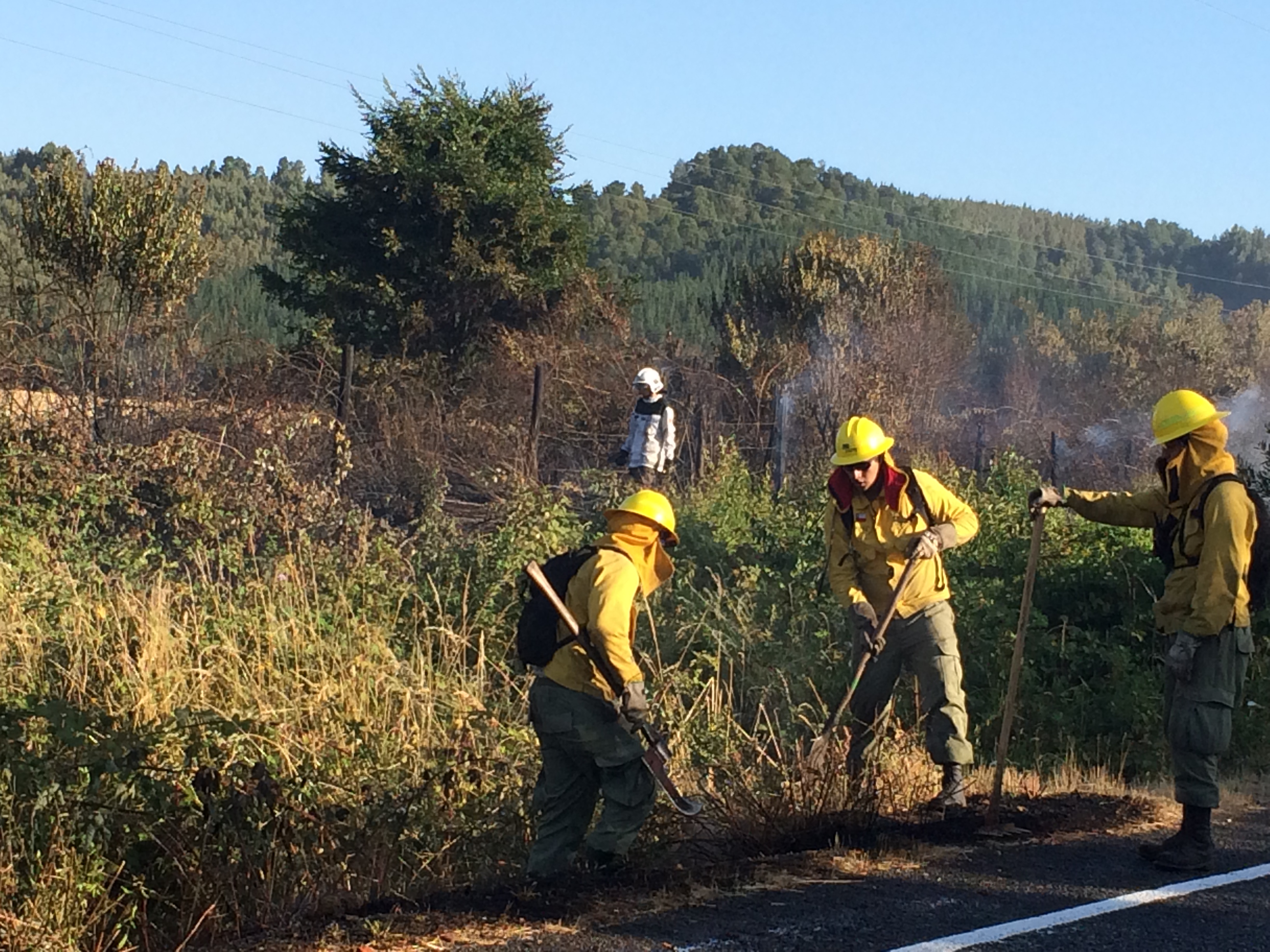 Alerta Roja para la comuna de Corral por incendio forestal